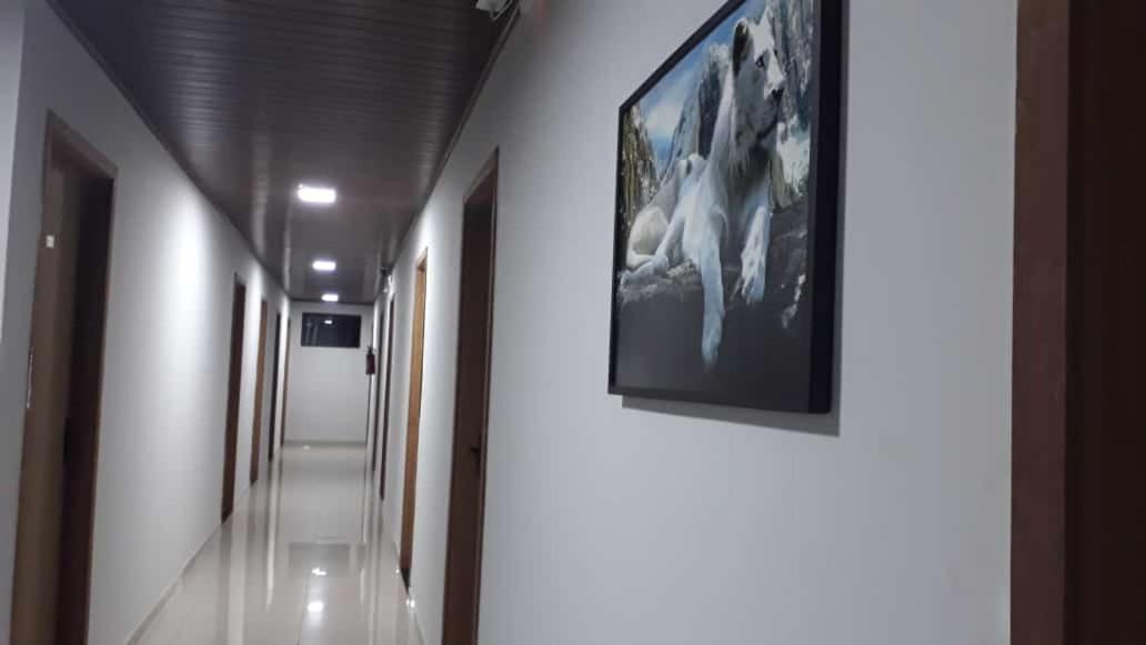 Hotel Rof Telêmaco Borba Dış mekan fotoğraf